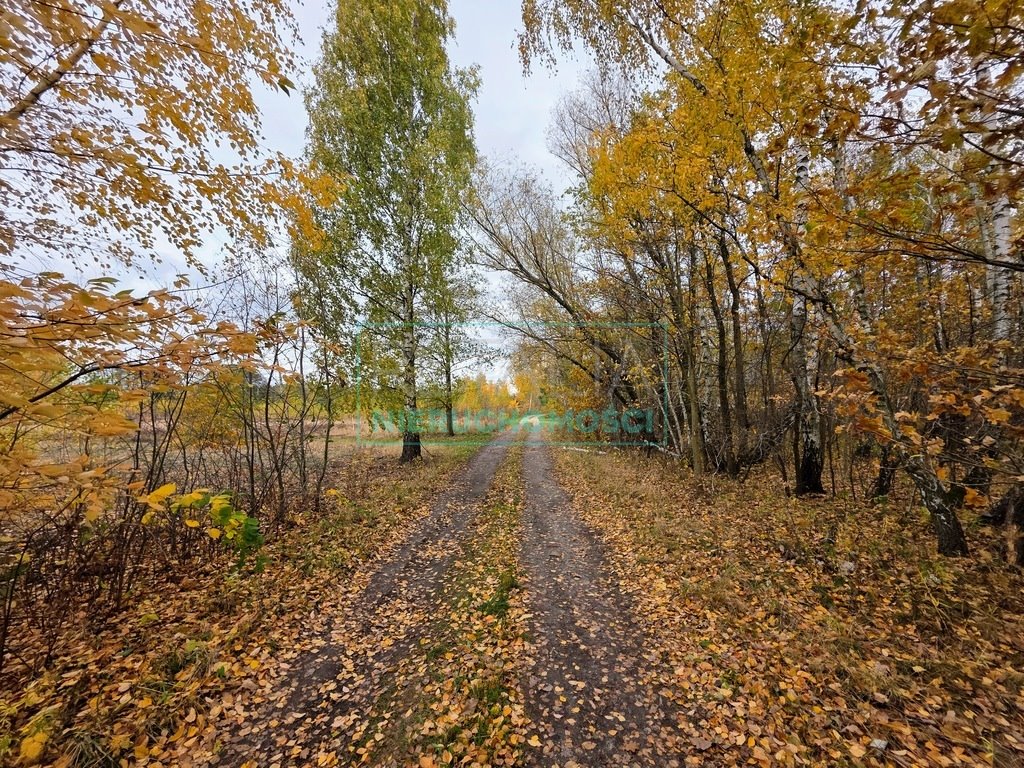 Działka 2,7 ha pod inwestycję, blisko lasu i A2 Władków  26 800m2 Foto 1