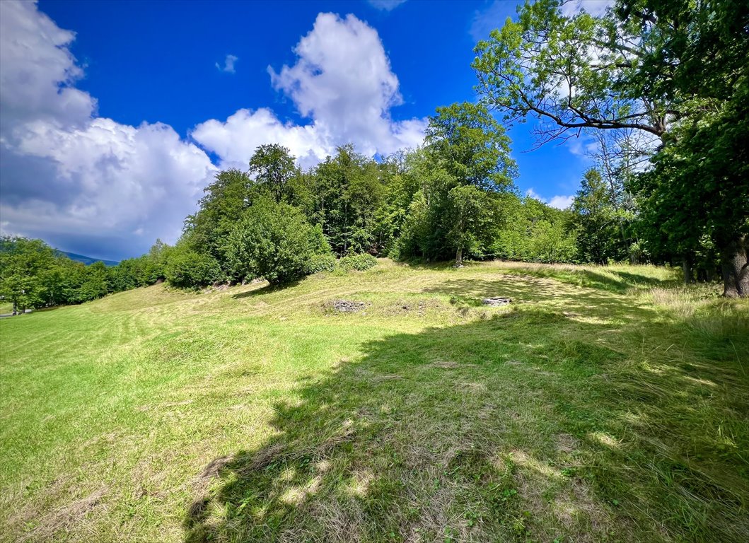 Działka rekreacyjna na sprzedaż Jarkowice  1 600m2 Foto 13