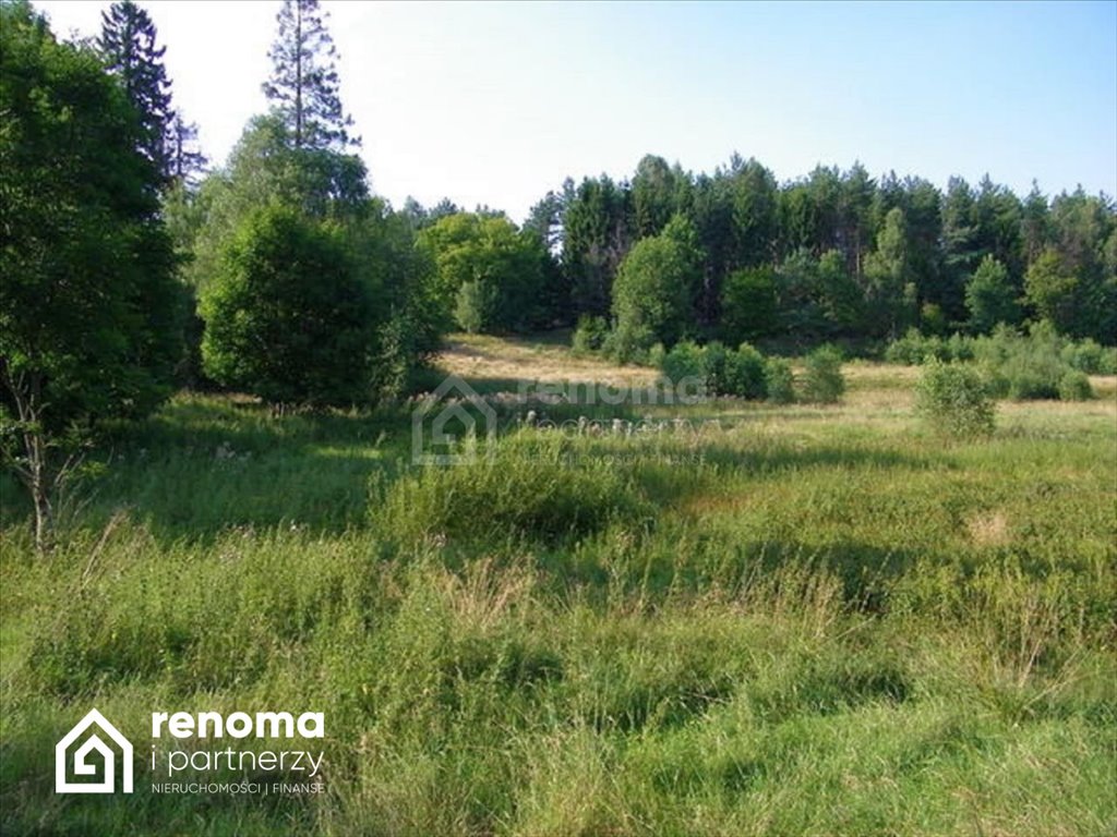 Działka siedliskowa na sprzedaż Dąbrowa  4 753m2 Foto 2