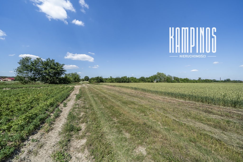 Na sprzedaż działka 3000 m² z dostępem do prądu i wodociągu Plewniak  3 000m2 Foto 1
