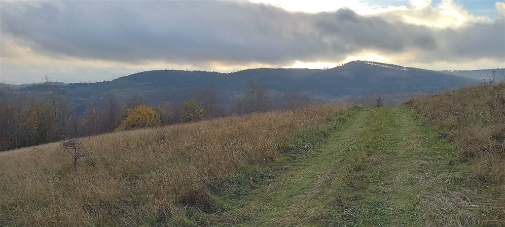 Działka inna na sprzedaż Walim  1 937m2 Foto 6