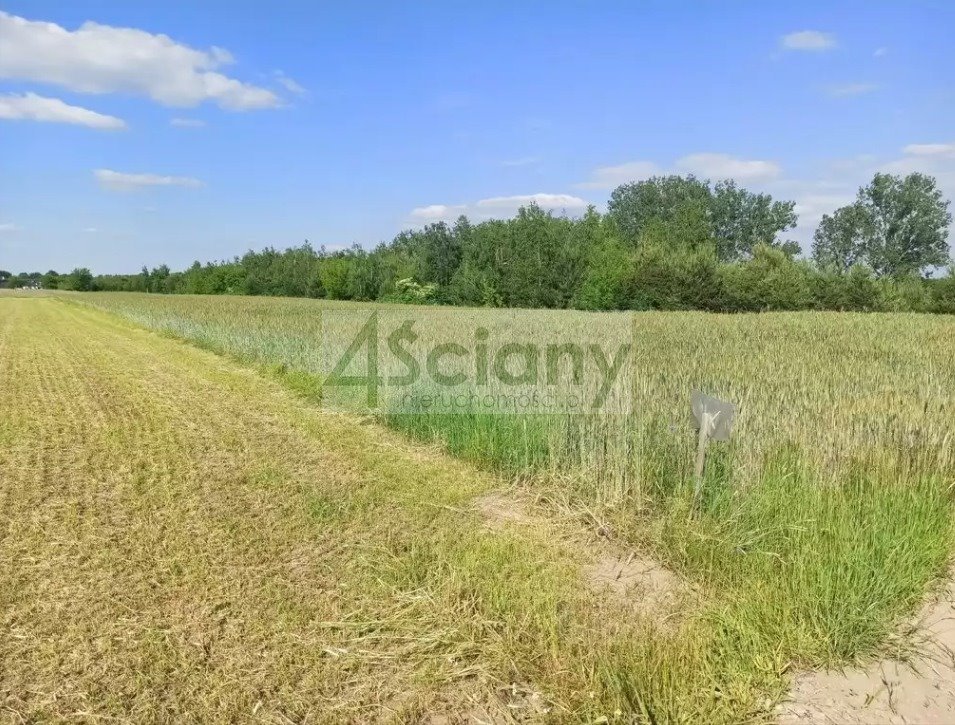 Działka 923 m² z mediami w Jachrance - idealna pod dom. Jachranka  923m2 Foto 1