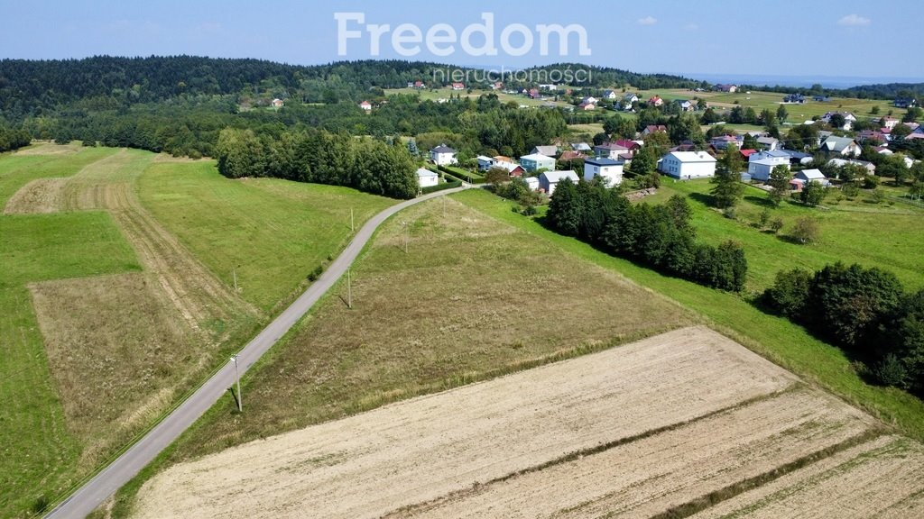 Działka budowlana na sprzedaż Kobylany  4 000m2 Foto 7