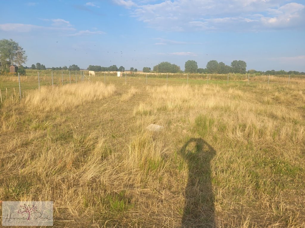 Działka budowlana na sprzedaż Skotniki  1 960m2 Foto 3