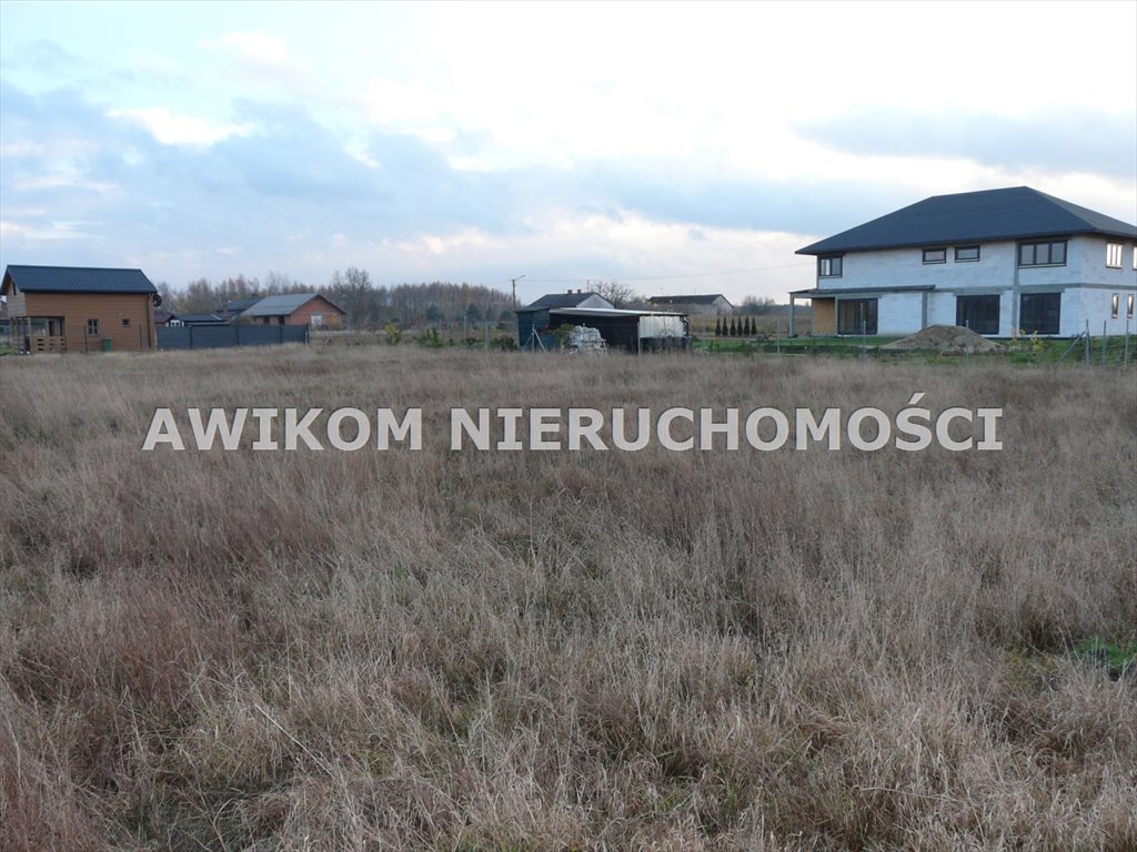 Działka rolna na sprzedaż Skierniewice, Sierakowice Lewe  11 173m2 Foto 12