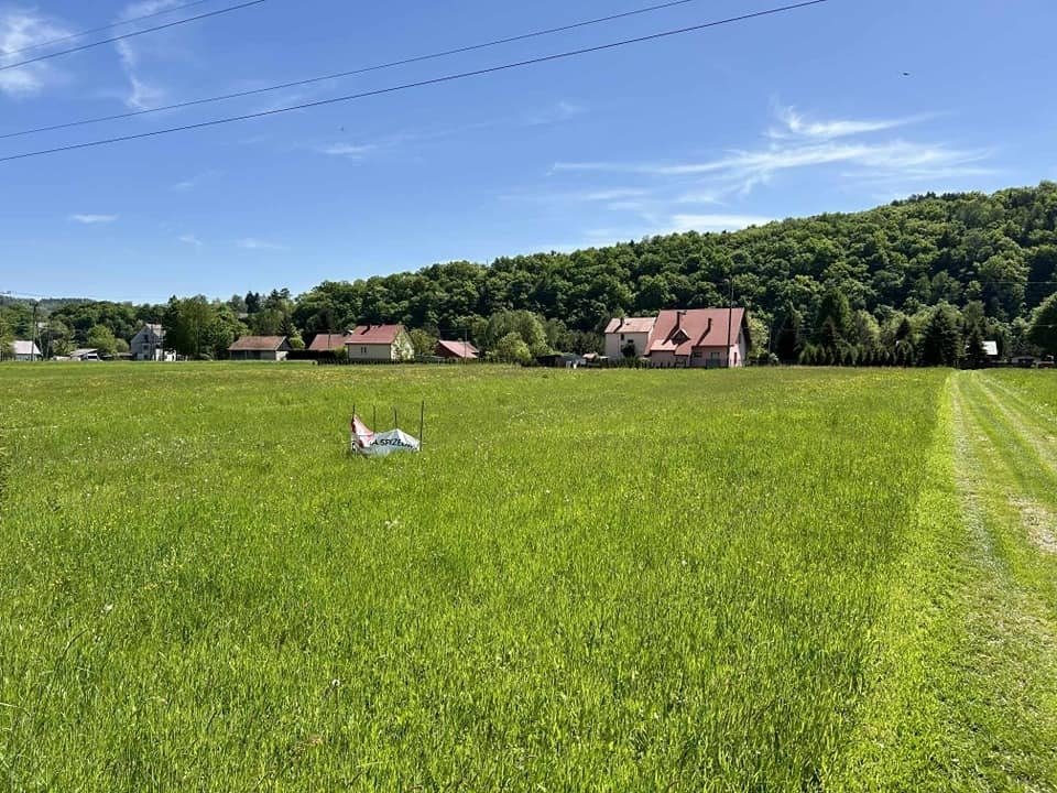 Działka budowlana na sprzedaż Rożnów  3 001m2 Foto 10