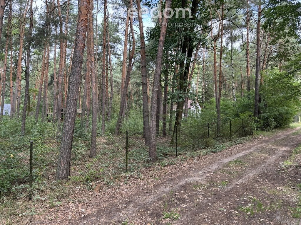 Działka budowlana na sprzedaż Dąbrowa Kozłowska  2 368m2 Foto 12