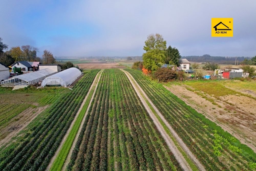 Działka budowlana na sprzedaż Zezulin Niższy, Zezulin  10 017m2 Foto 1