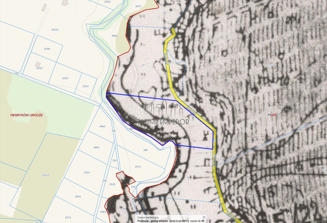 Do sprzedania działka rolna 13 800 m² z możliwością zabudowy Łoś, Sołecka  13 800m2 Foto 1