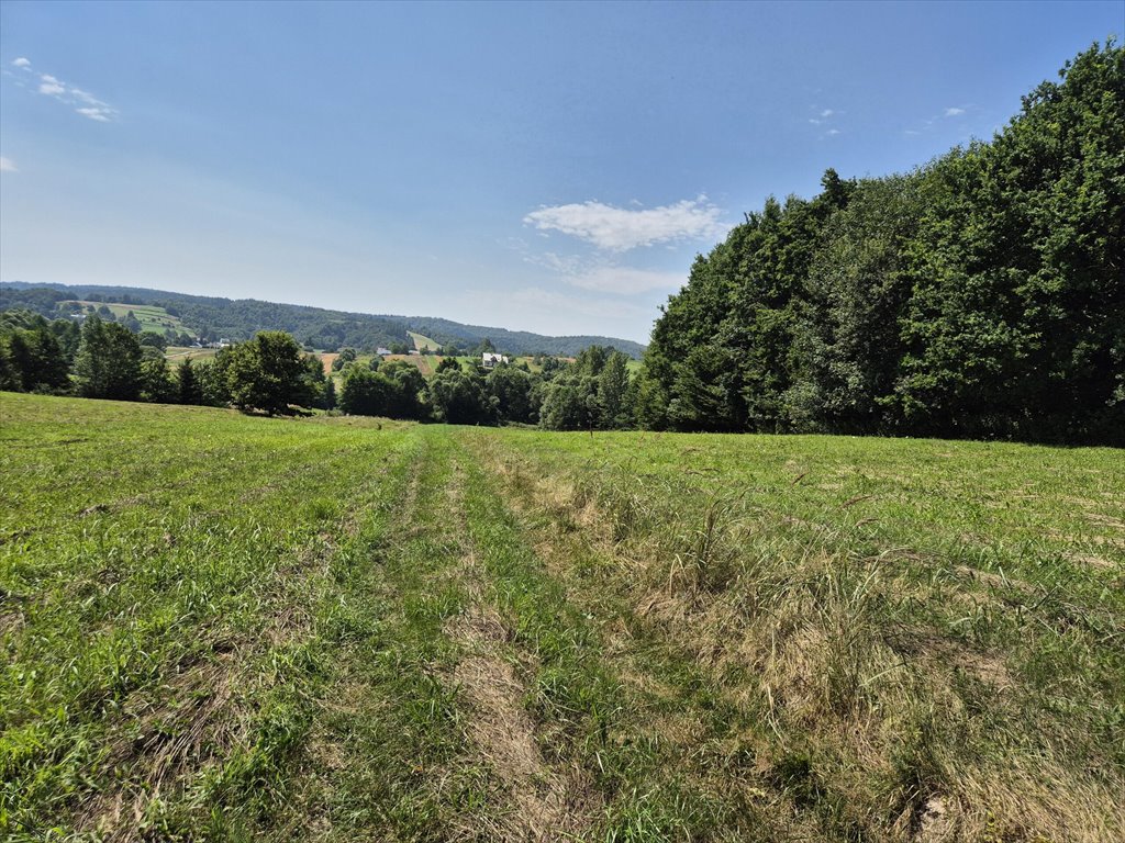 Działka rolna na sprzedaż Golcowa  8 051m2 Foto 8