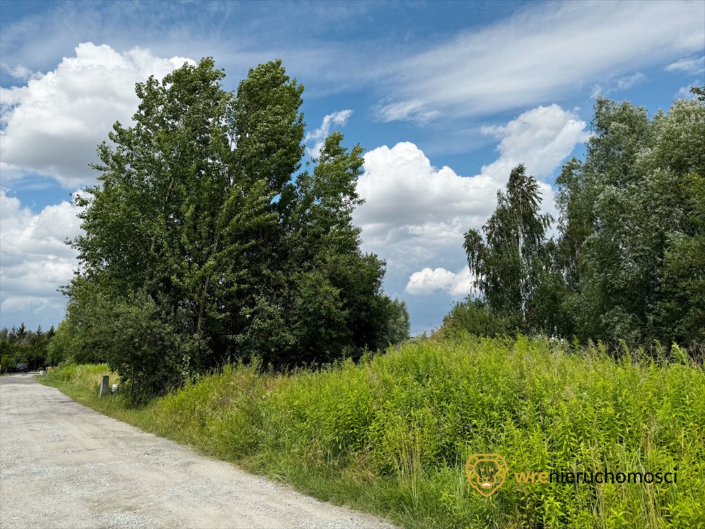 Działka budowlana na sprzedaż Dobrzykowice, Goździkowa  925m2 Foto 5