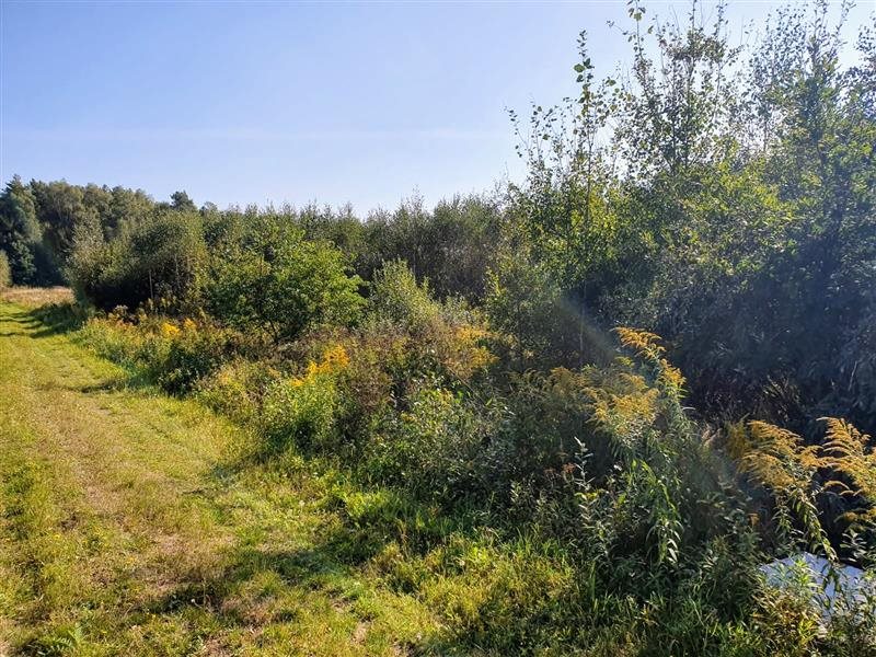 Działka budowlana na sprzedaż Bielkówko, Las 3 003m2 Foto 1 Działka budowlana na sprzedaż Bielkówko, Las 3 003m2 Foto 1