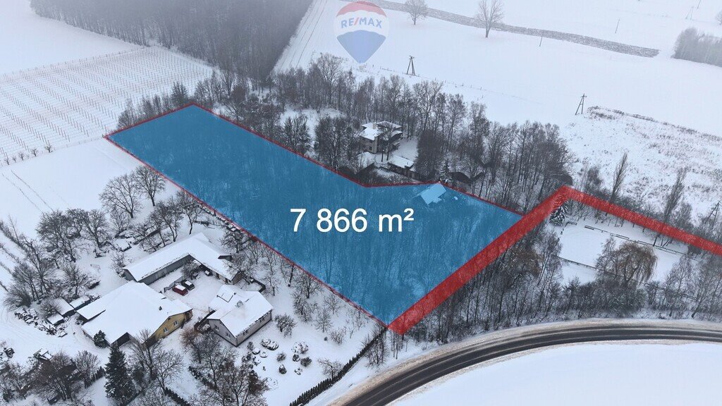Działka 7 866 m² z lasem, możliwość zabudowy, Miłocin Miłocin  7 866m2 Foto 1
