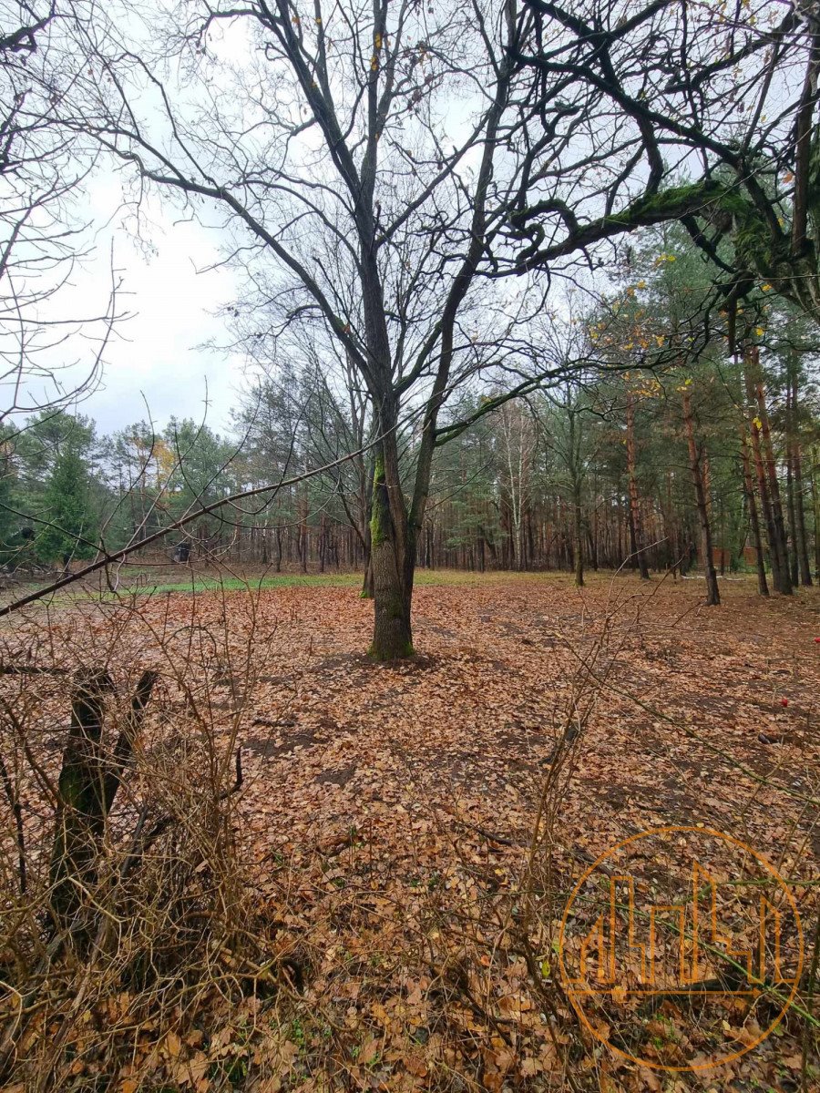 Działka budowlana na sprzedaż Warszawa, Wawer  1 500m2 Foto 7