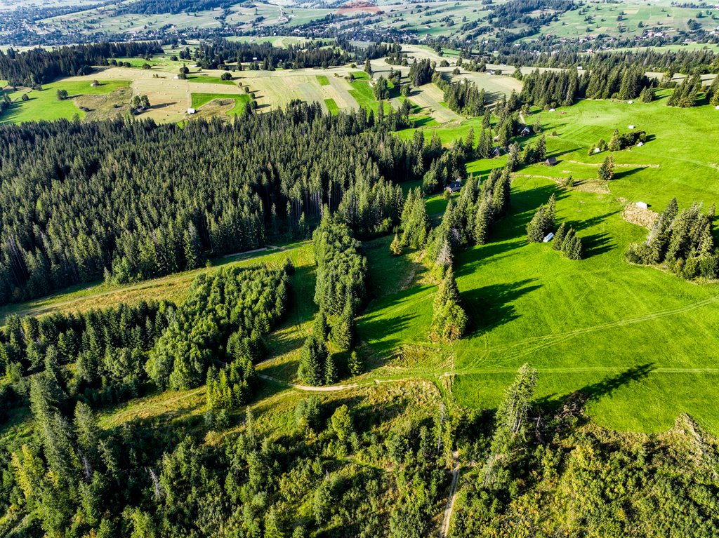 Działka rolna na sprzedaż Dzianisz  6 560m2 Foto 16