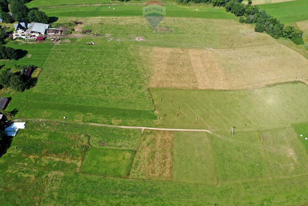 Działka budowlana na sprzedaż Maruszyna  9 650m2 Foto 10