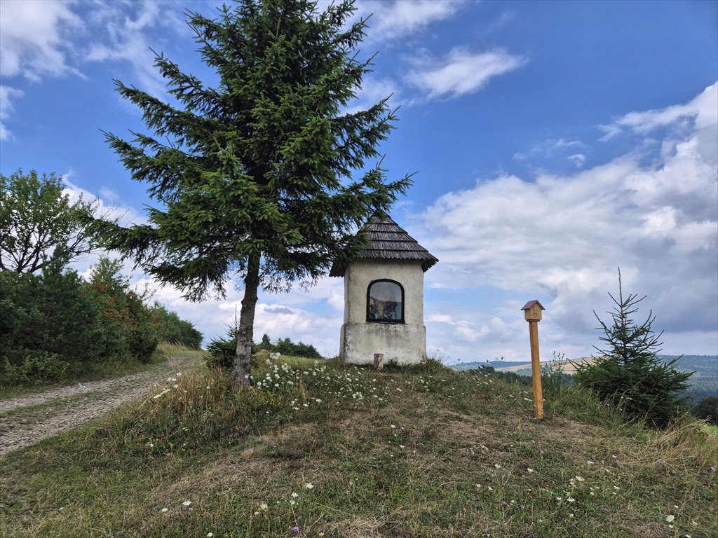 Działka rolna na sprzedaż Posada Jaśliska  9 300m2 Foto 7