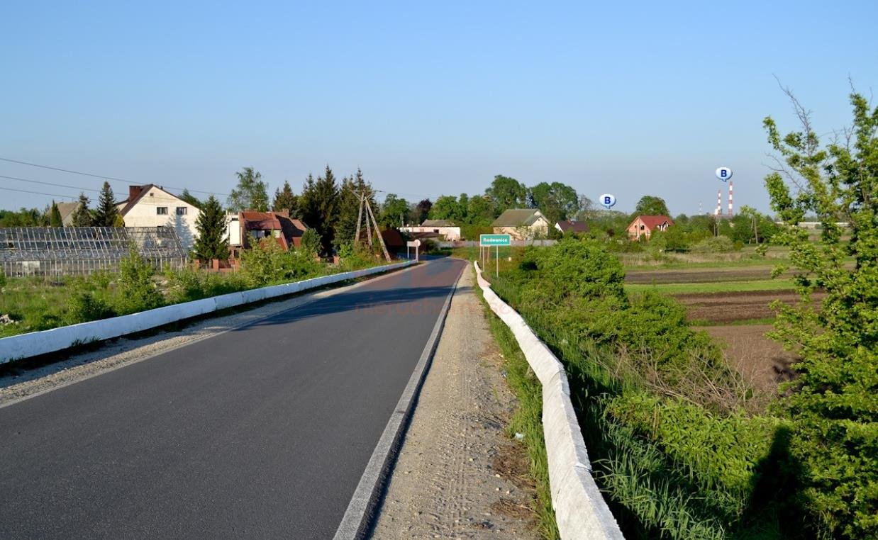 Działka komercyjna na sprzedaż Radwanice, Katarzyńska  10 000m2 Foto 5