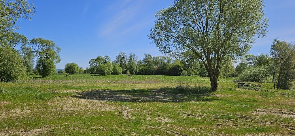 Działka 945 m² pod dom i inwestycję w Skolwinie Szczecin, Skolwin  945m2 Foto 1