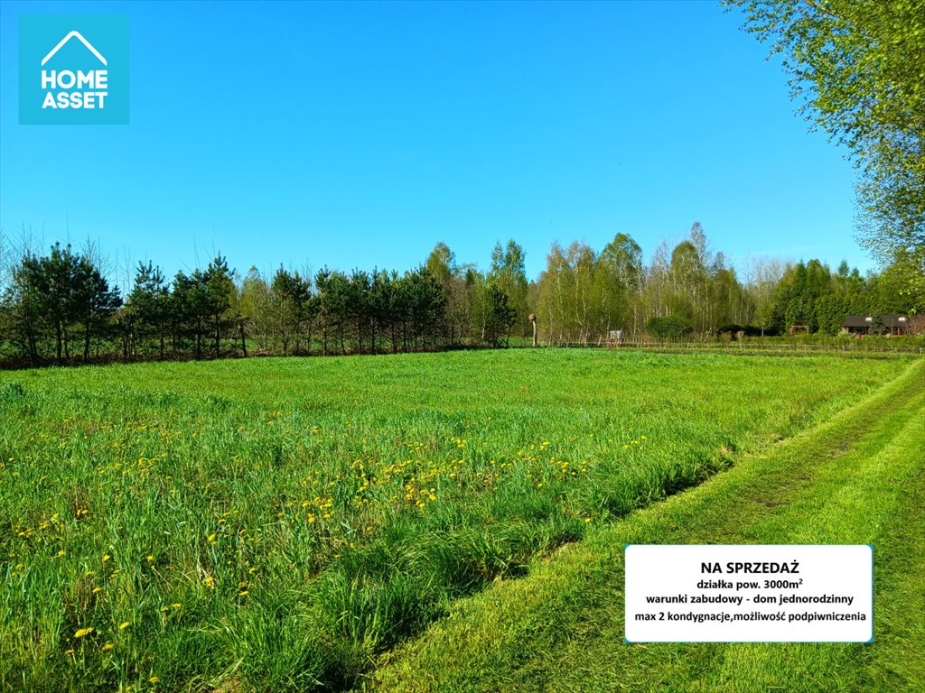 Działka budowlana na sprzedaż Zelewo, Polna  3 000m2 Foto 1