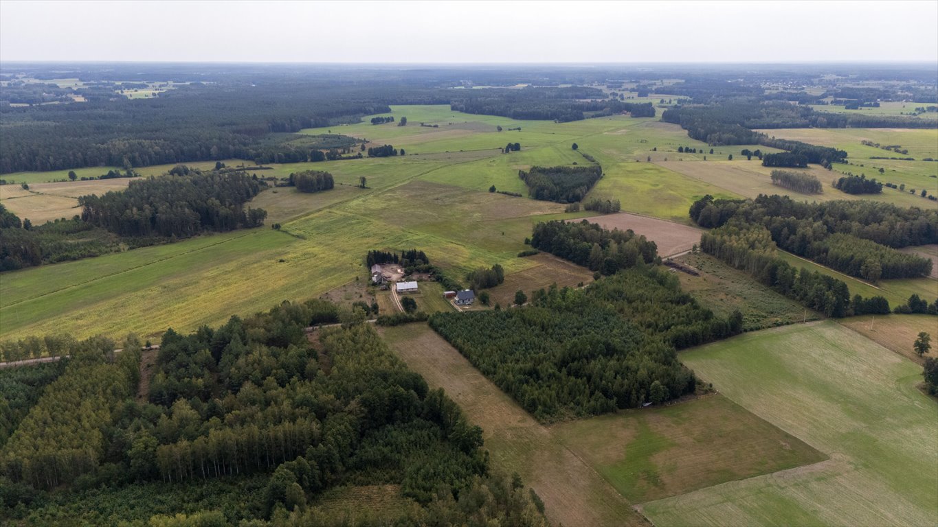 Działka budowlana na sprzedaż Wały  3 928m2 Foto 8