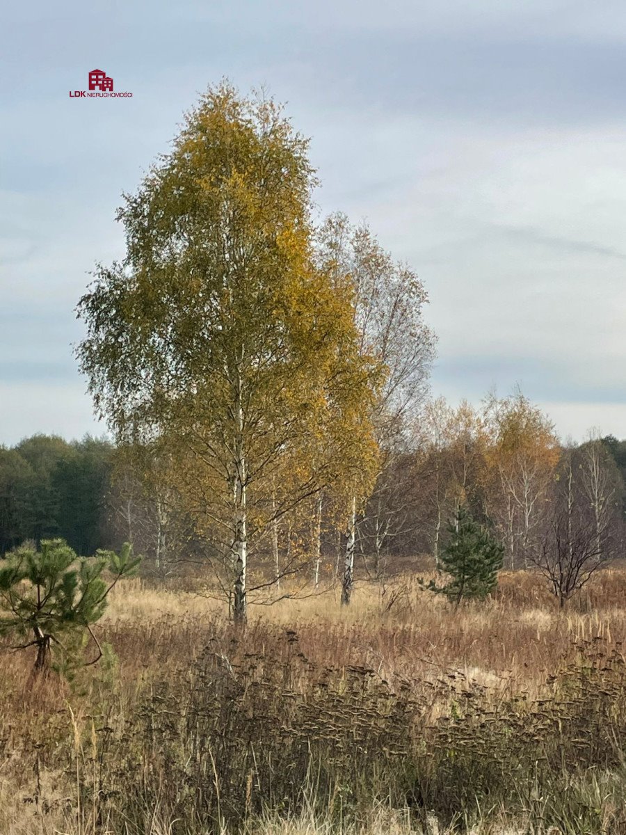 Działka budowlana na sprzedaż Zielona Góra  35 300m2 Foto 14