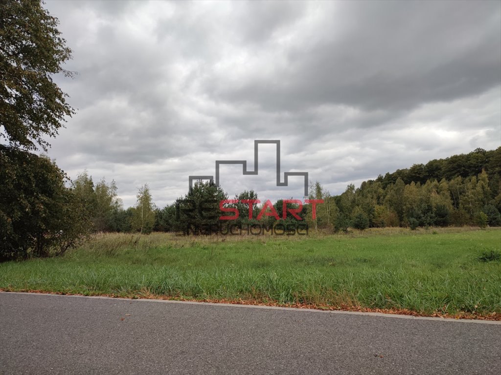 Działka budowlana na sprzedaż Kuklówka Radziejowicka  5 200m2 Foto 2