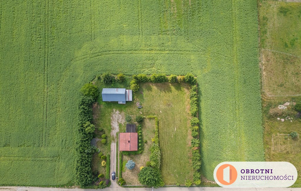 Działka budowlana na sprzedaż Lisewo, Leśna  3 700m2 Foto 5