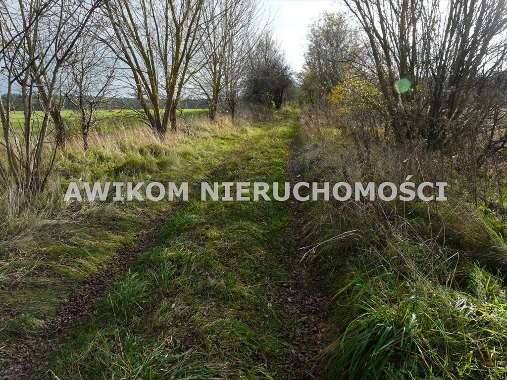 Działka inwestycyjna na sprzedaż Puszcza Mariańska, Wycześniak  162 570m2 Foto 10