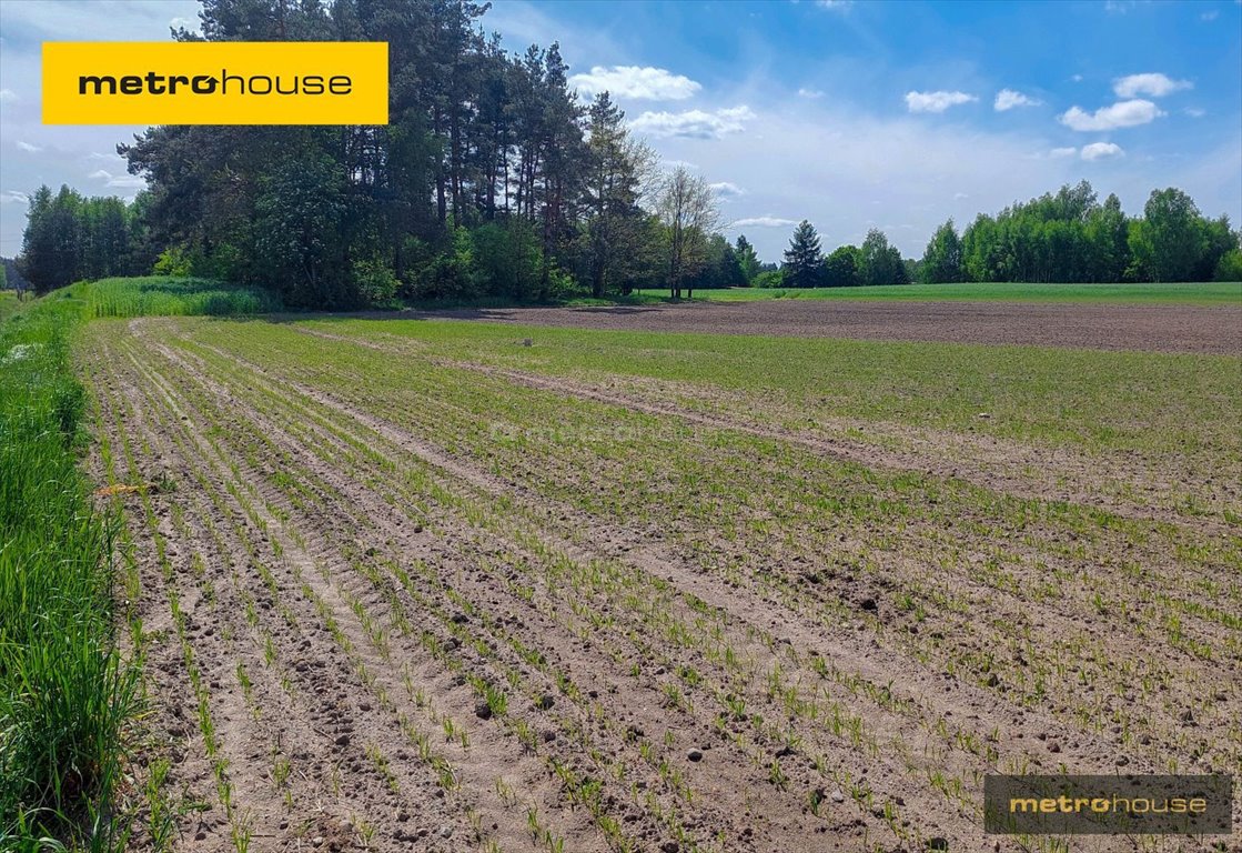 Działka inna na sprzedaż Malachin  1 000m2 Foto 1