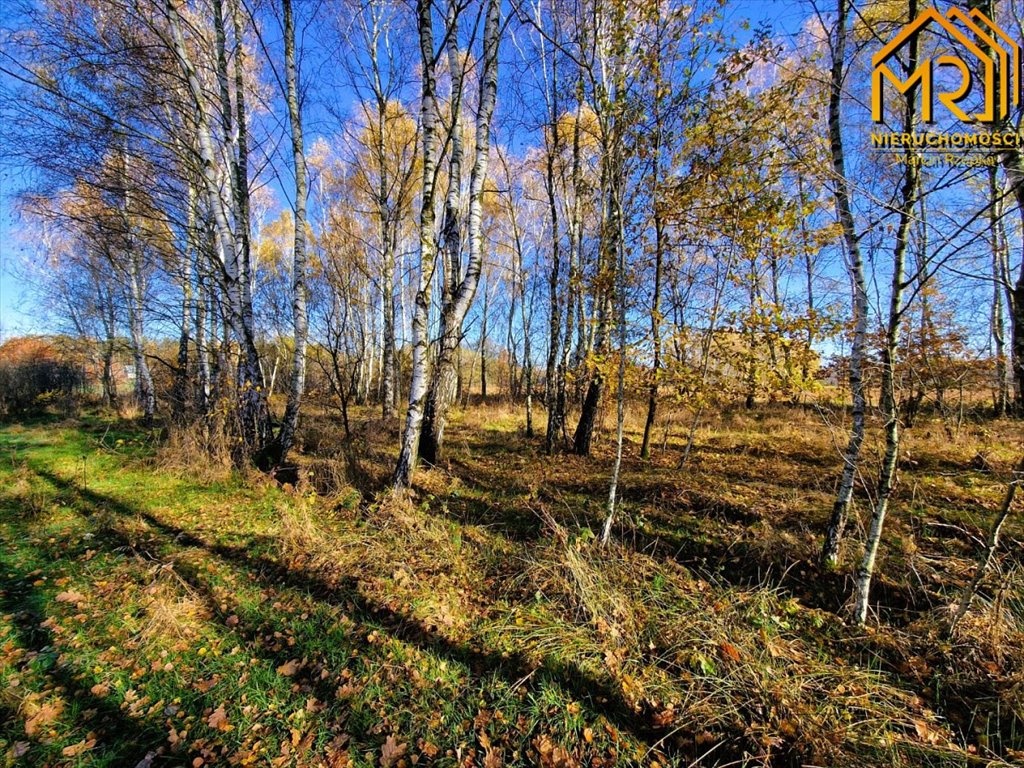 Działka inna na sprzedaż Pogórska Wola  2 389m2 Foto 6