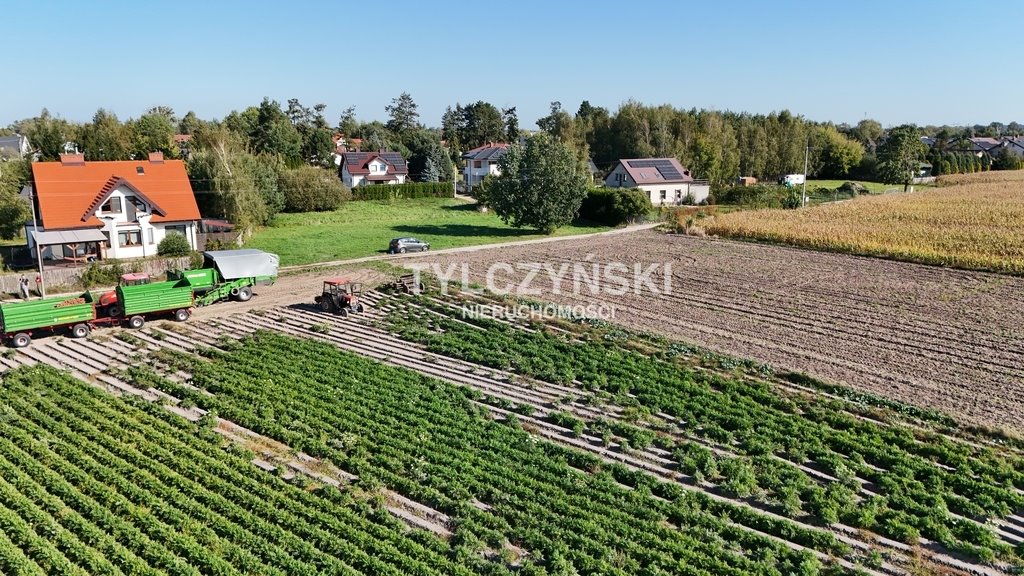 Działka budowlana na sprzedaż Bieniewice  21 651m2 Foto 7