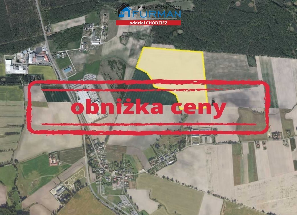 Działka inna na sprzedaż Podanin  260 000m2 Foto 1