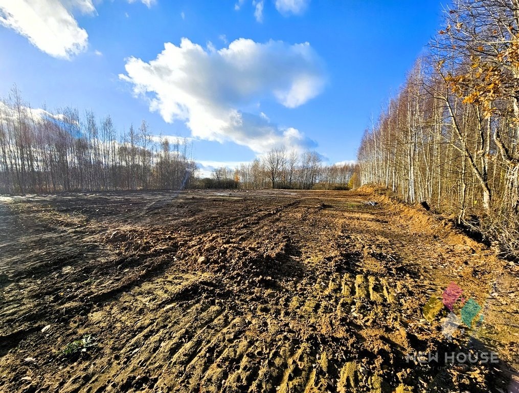 Działka budowlana na sprzedaż Rozgity  3 878m2 Foto 4