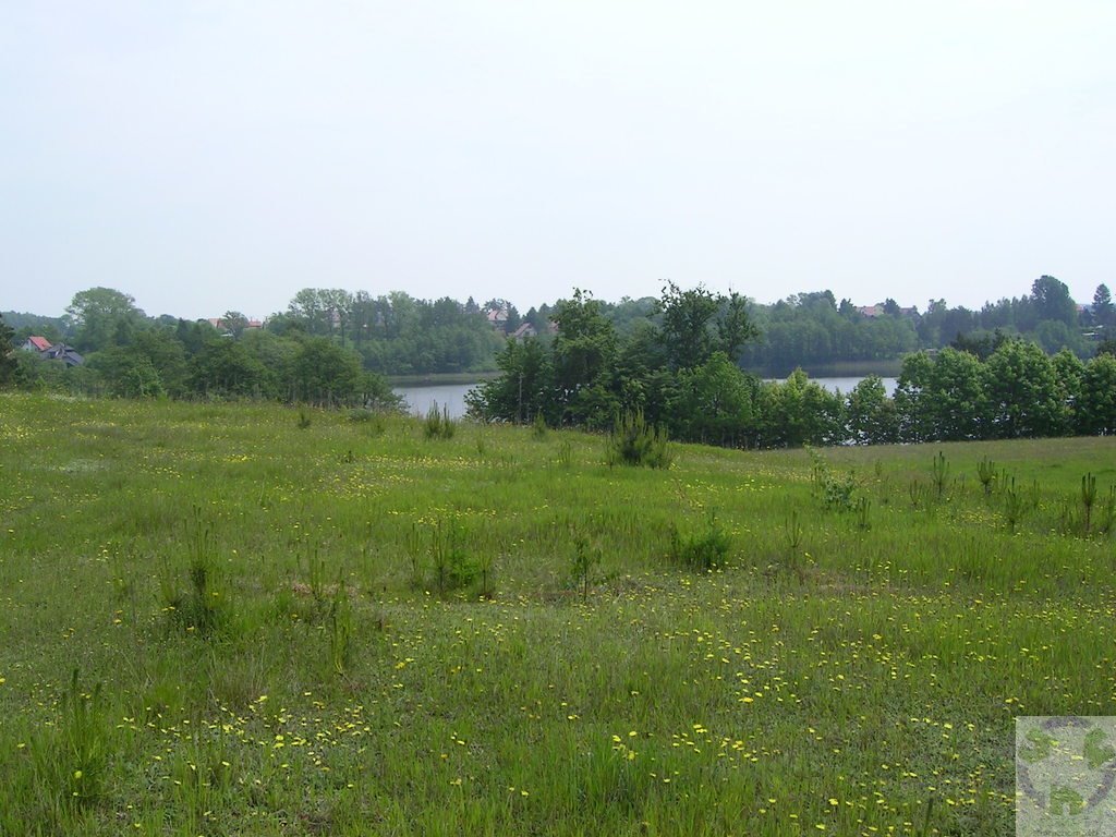 Działka budowlana na sprzedaż Kamień, Tymiankowa  1 532m2 Foto 8