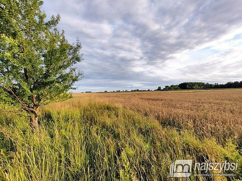 Działka rolna na sprzedaż Łupowo, Wieprzyce  2 352m2 Foto 12