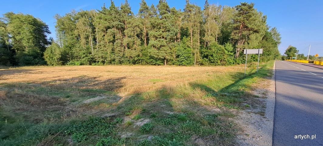 Sprzedam działkę 4800 m² z mediami i lasem w Wiechetki Małe Wiechetki Małe  4 800m2 Foto 1