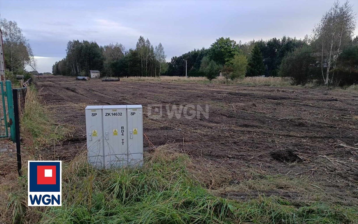 Działka budowlana na sprzedaż Kamienica Polska, Wspólna  1 179m2 Foto 3