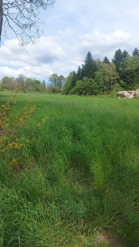 Działka budowlana na sprzedaż Ciężkowice, Ciężkowice, Kąśna Górna  1 000m2 Foto 12