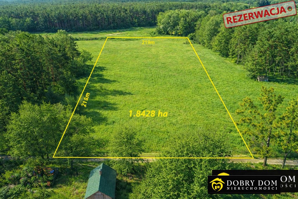 Polecam dwie działki Zabłudów 23 883 m² z warunkami zabudowy Zabłudów  23 883m2 Foto 1