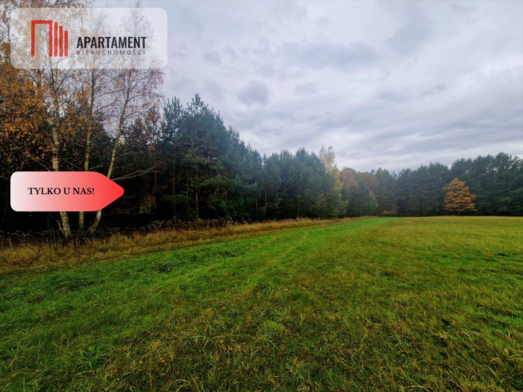 Trzy działki rolne z drzewami, 22 100 m2, Łazy Wielkie Łazy Wielkie  22 100m2 Foto 1