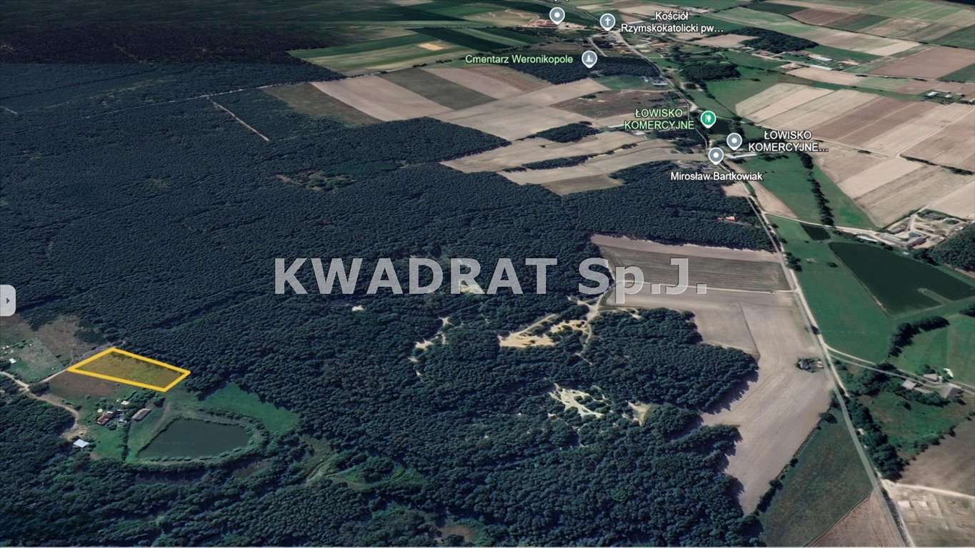 Działka budowlana na sprzedaż Weronikopole  2 900m2 Foto 6