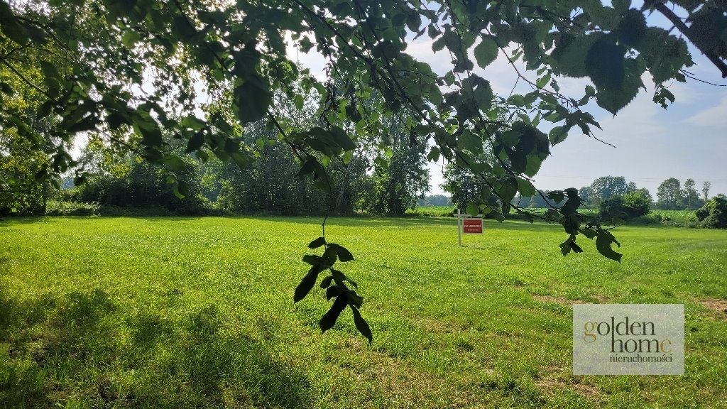 Działka budowlana na sprzedaż Kąkolewo, Albertowsko  5 000m2 Foto 10