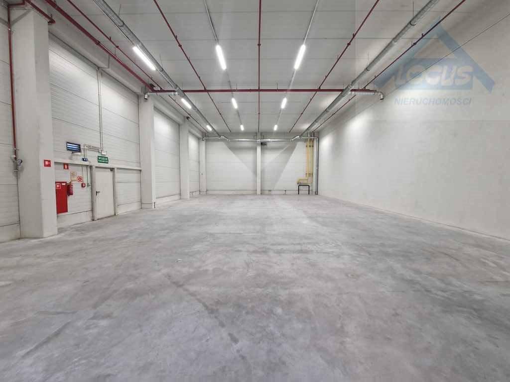 Magazyn na wynajem Ołtarzew  2 500m2 Foto 5