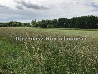 Działka inna na sprzedaż Lipienki  3 942m2 Foto 5