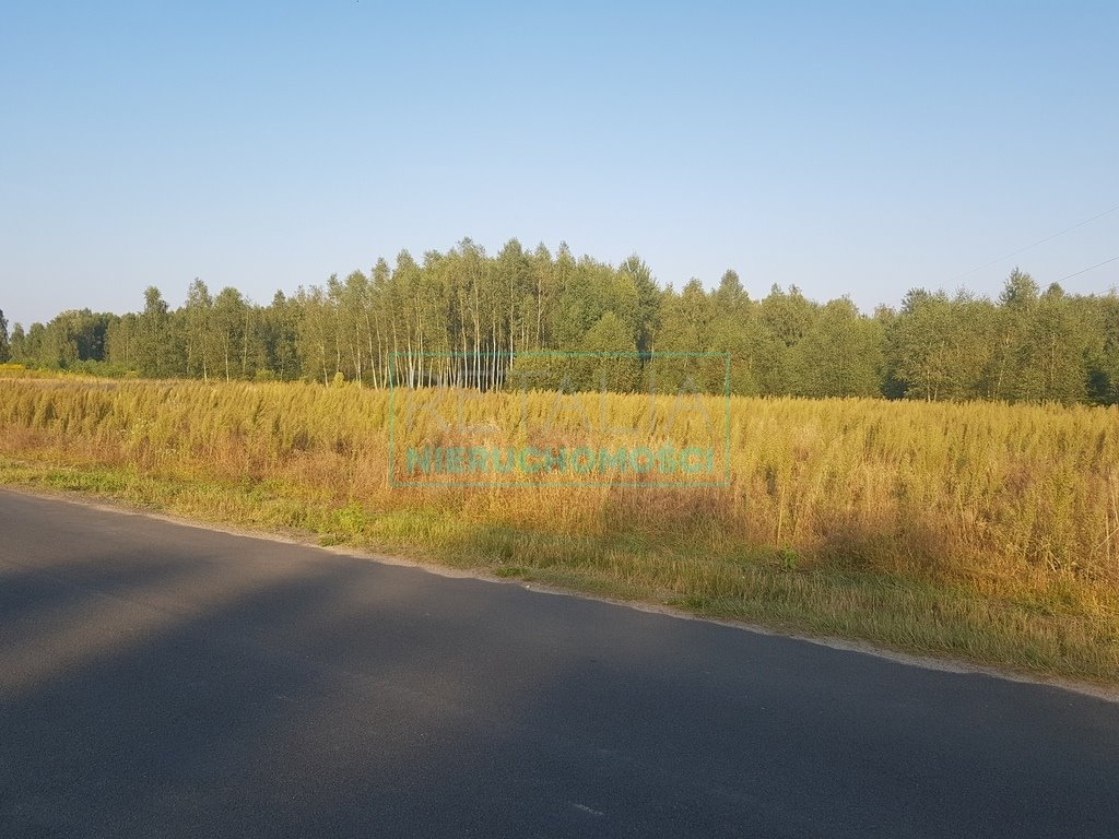 Działka budowlana na sprzedaż Słubica Dobra  2 000m2 Foto 9