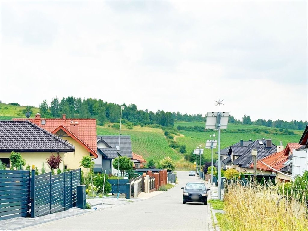 Działka budowlana na sprzedaż Rogożnik  50 000m2 Foto 4