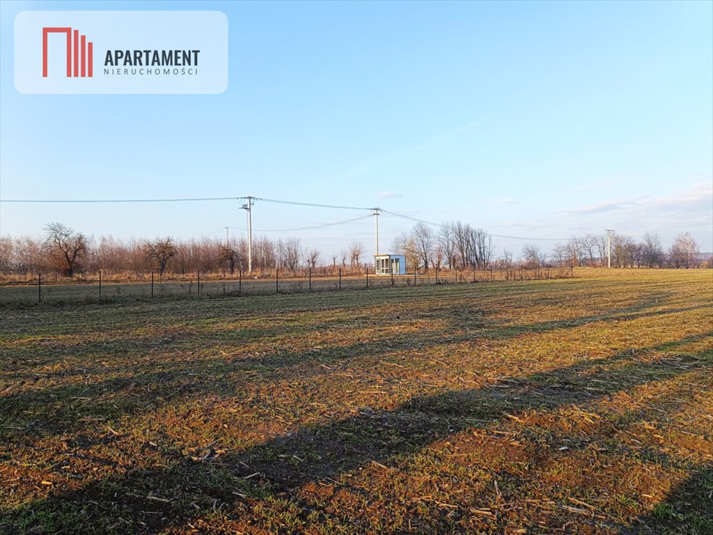 Działka budowlana na sprzedaż Koza Wielka  1 700m2 Foto 1