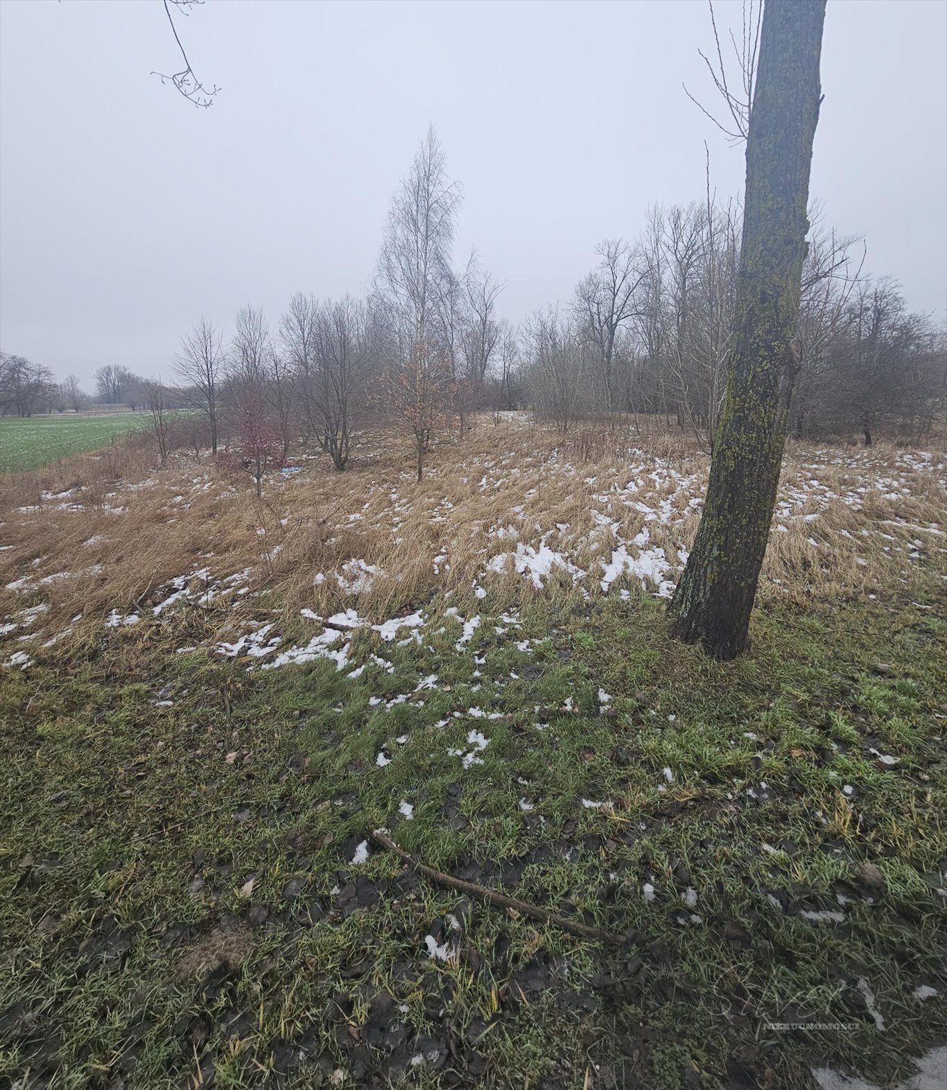 Działki budowlane 2875 m² w pięknej okolicy, Leoncin Nowa Mała Wieś  2 875m2 Foto 1