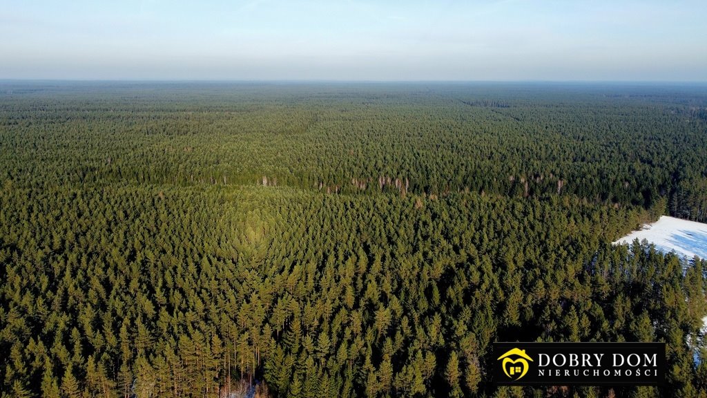 Działka budowlana na sprzedaż Serski Las  1 200m2 Foto 17